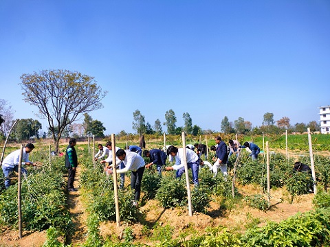 Department of Agriculture Studies at K.M. University, Mathura.